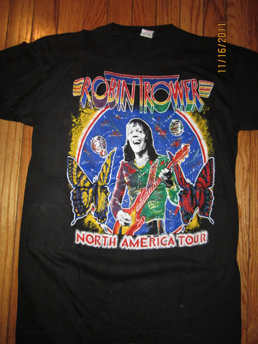 North american cncert robin - american,